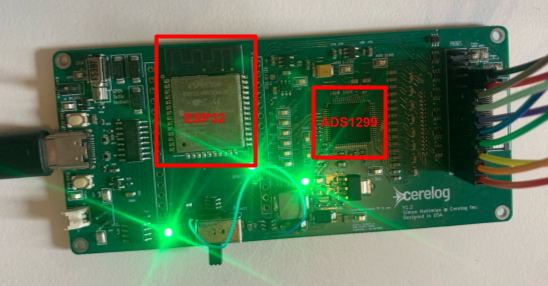 A green Cerelog circuit board with the ESP32 and ADS1299 chips outlined in red.