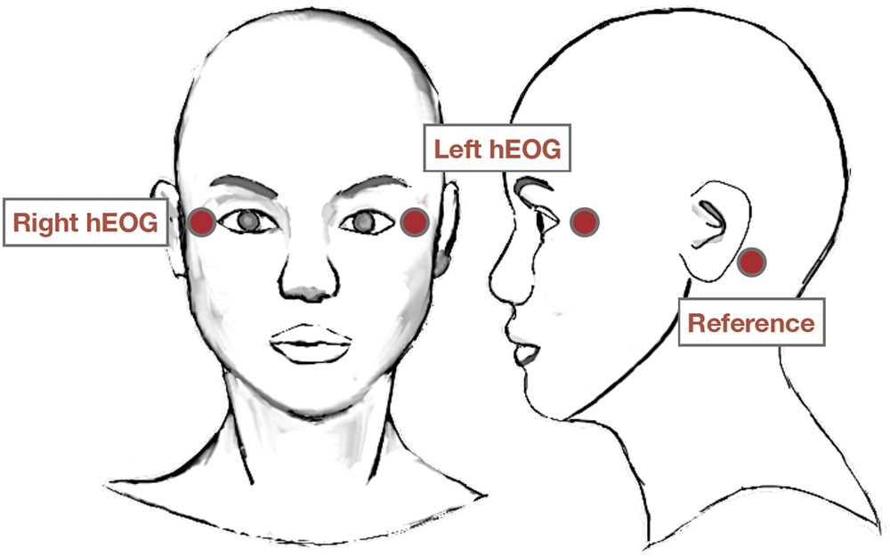 A diagram of a head showing electrode placement: right hEOG and left hEOG beside the eyes, reference behind the ear.