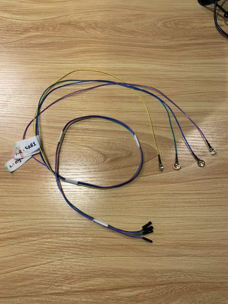 A set of gold cup electrodes with colored wires, labeled for left eye, right eye, and SRB1.
